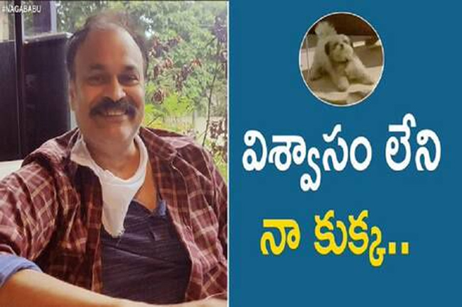 Nagababu Makes Another Tweet & Who Did He Aim It At?