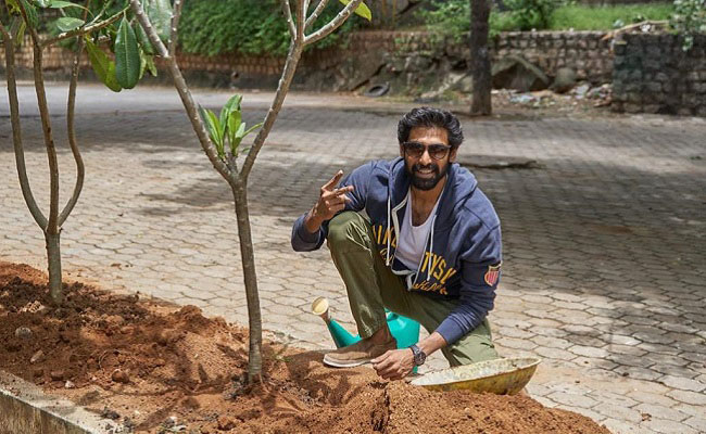 Rana Fulfills The Challenge Of Prabhas Rana Fulfills The Challenge Of Prabhas