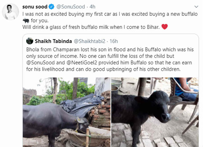 కారు కొన్నప్పటి కంటే గేదెను కొన్నప్పుడు ఆనందం కలిగింది