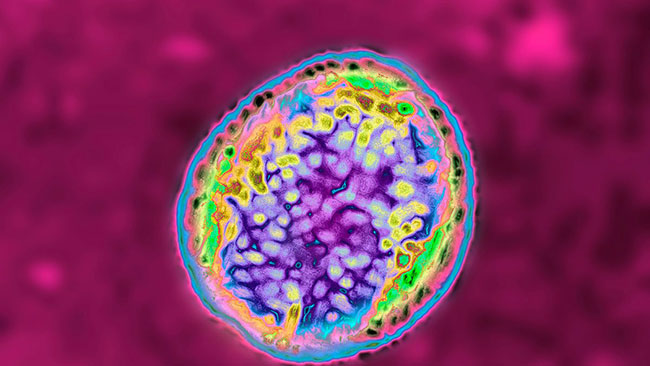 చైనాకు మరో గండం.. వేలాదిమందికి  బ్యాక్టీరియా వ్యాధి