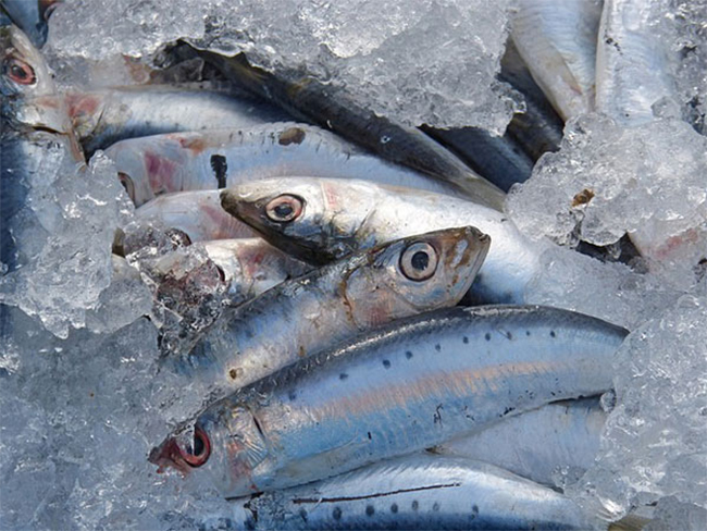 మరో బ్యాడ్ న్యూస్ చెప్పిన చైనా !