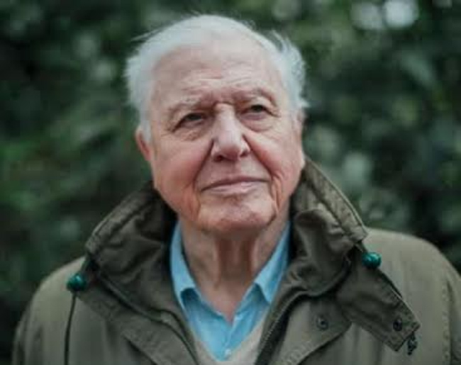 గిన్నిస్ రికార్డు..ఇన్ స్టాలో 4 గంటల్లో 10 లక్షల ఫాలోవర్స్