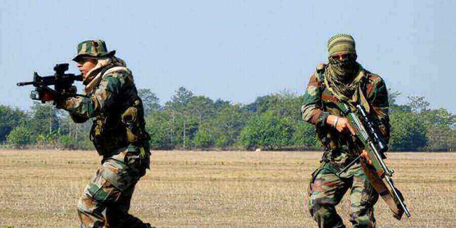 డ్రాగన్ కంట్రీకి దడ పుట్టిస్తున్న ఎస్‌ ఎఫ్ ఎఫ్ ... ఎస్ ఎఫ్ ఎఫ్ అంటే చైనాకి ఎందుకంత భయం !