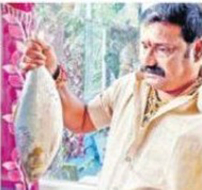 పాశర్లపూడిలో ఆ ఒక్క పులస ధర ఎంత పలికిందో తెలిస్తే అవాక్కే