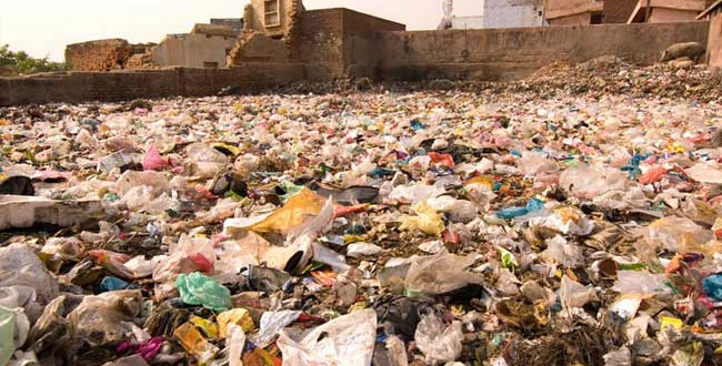 కన్నడ విద్యార్థి అన్వేషణ ఫలితం.. ప్లాస్టిక్ తినే క్రిముల్ని గుర్తించాడు