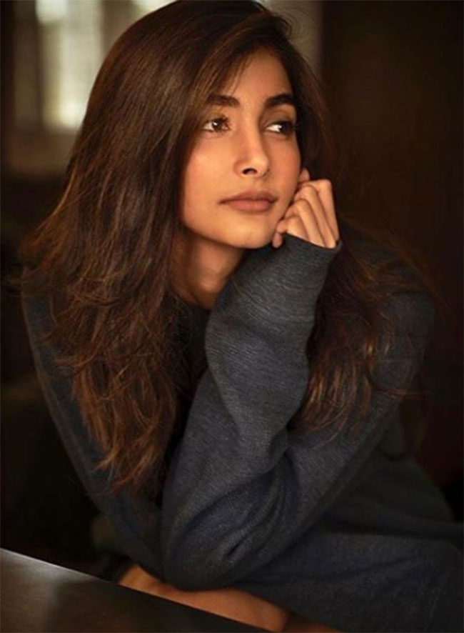 టాలీవుడ్ బ్యాచిల‌ర్ల గాళ్ ఫ్రెండ్ పై భాయ్ మోజేల‌?