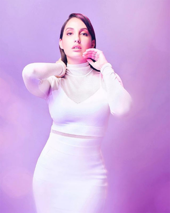 స‌రోవ‌రం నుంచి దారి త‌ప్పి జ‌నార‌ణ్యంలో చిక్కిన హంస‌