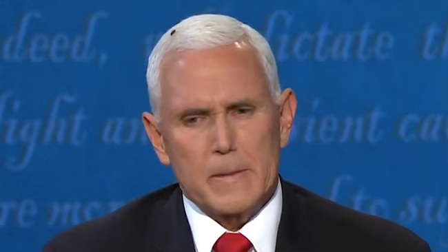 US Vice Presidential Debate: Fly Lands On Vice Presidents Hair, Steals The Show