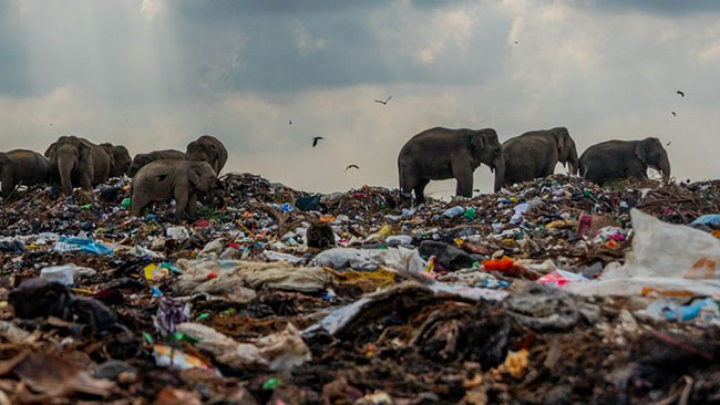 కన్నీళ్లు తెప్పించే ఫొటో.. అందుకే అవార్డుకు ఎంపికైంది