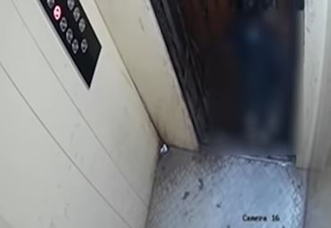 ముంబయిలోని లిఫ్టులో నలిగిపోయిన చిన్నారి..