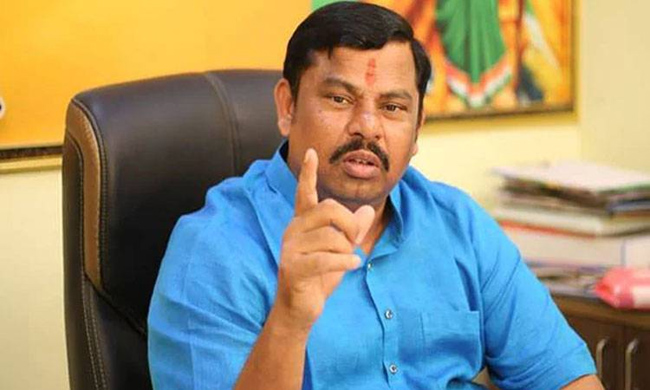 BJP MLA Raja Singh Lambasts Lawyer Who Moved High Court On The Crackers Ban!