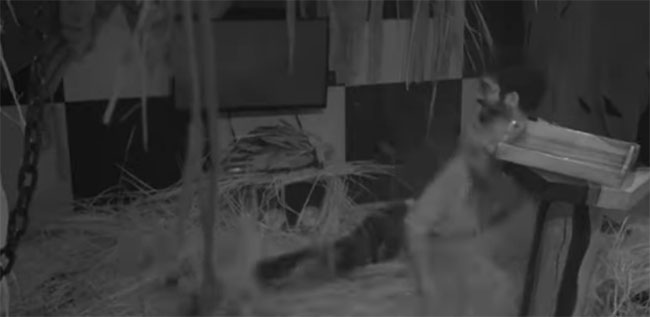 బిబి4 : ఇది బయట చూపించి ఇజ్జత్‌ తీయకండి ప్లీజ్‌ అంటూ అఖిల్‌ సోహెల్‌