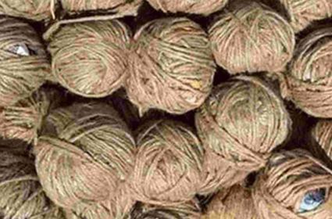 సీమలో నాటుబాంబుల కలకలం..  బాలుడి మృతి..  మాజీ ఎమ్మెల్యే స్వగ్రామంలో ఘటన