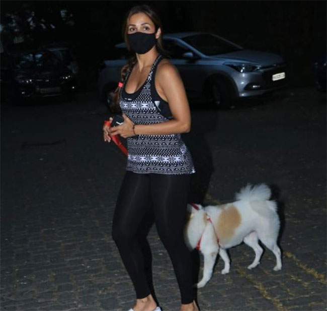 కుక్క‌ను మించిన నేస్తం లేడ‌‌ని తెలుసుకుంది