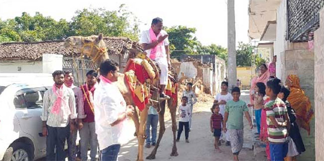 గ్రేటర్ ఎన్నికల్లో ఈ అభ్యర్థి రూటు రోటీన్ కు భిన్నం
