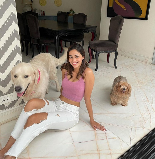 ఫోటో స్టోరి: చినుగులా చించుకుందా ఏంటిలా?