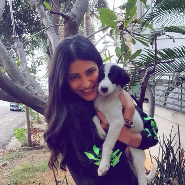 బోయ్ ఫ్రెండ్ కంటే కుక్క విశ్వాసం గ‌ల‌ది!