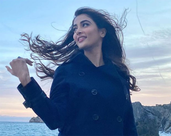 టాలీవుడ్ స్టార్ హీరోయిన్ బాలీవుడ్ కే పరిమితం కానుందా..?