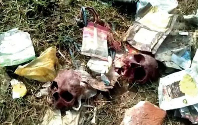 చెత్తకుప్ప లో నాలుగు అస్థిపంజరాలు .. భయం గుపిట్లో స్థానికులు