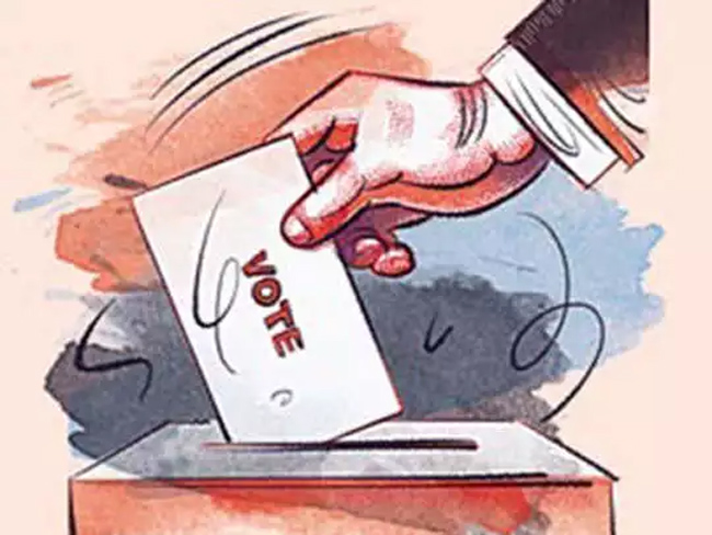 GHMC Elections Updates: EC Set Up 9,101 Polling Centres, Polling Underway