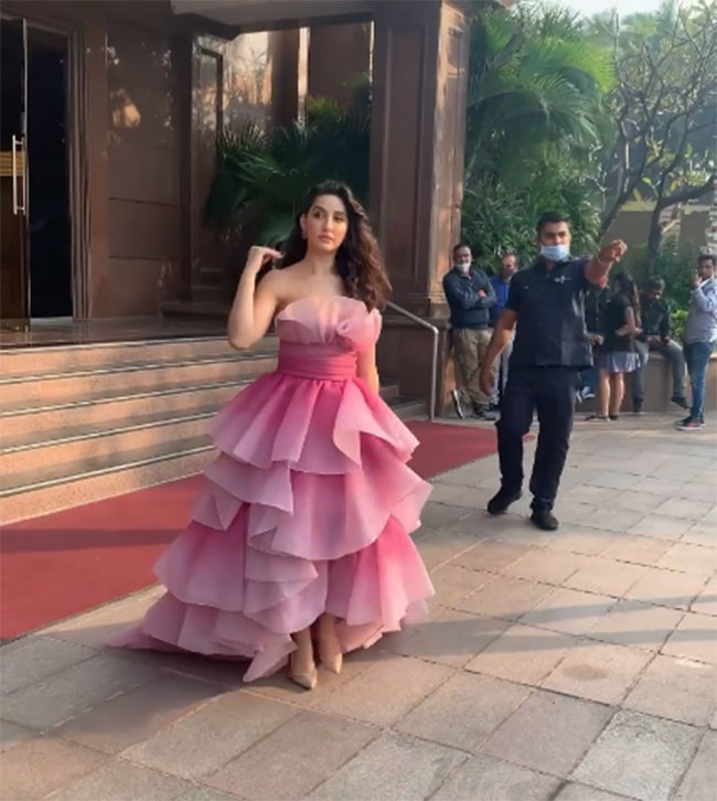 వీడియో: పింక్ గులాబీ న‌డిచొస్తోందిలా..