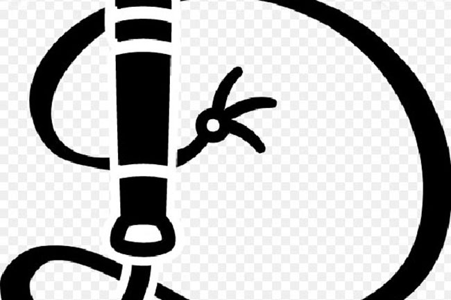 తప్పును ప్రశ్నించిన పూజారిని చెర్నాకోలుతో కొట్టటం ఏమిటి జగన్?