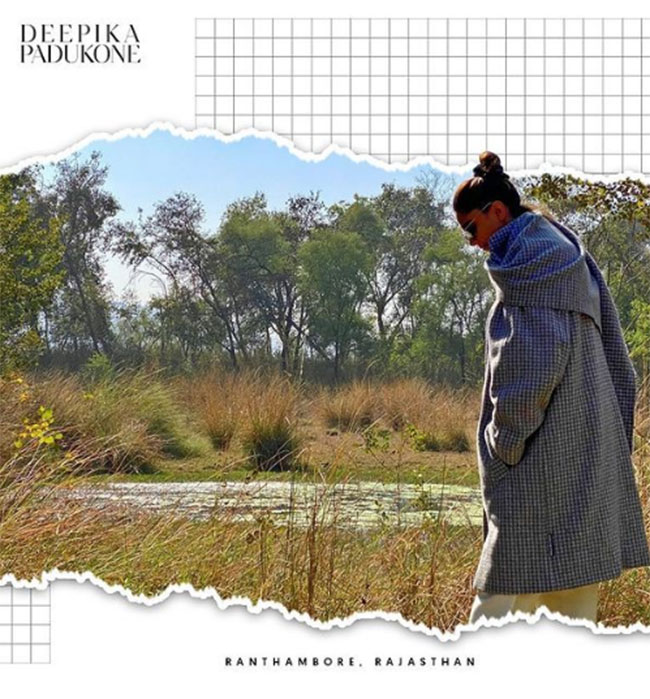 సోషల్ మీడియా ఖాతా ఖాళీచేసి.. అడవుల్లోకి వెళ్లిన దీపిక