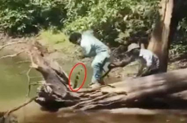 అతడికి ఇంకా భూమిపై నూకలున్నాయి.. రెప్పపాటులో  కోబ్రా కాటు నుంచి ఎస్కేప్