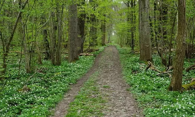 తెలంగాణ అడవి బిడ్డలపై ఆరాచకం.. బూట్లతో తన్ని.. మర్మాంగాల్ని గాయపర్చారు!