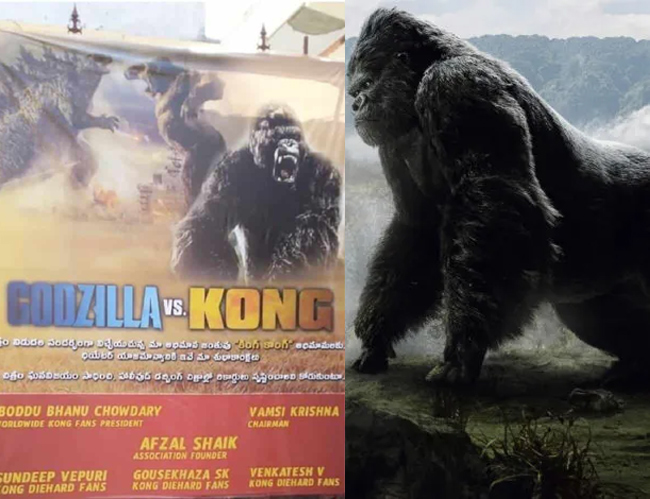 వైరల్: కింగ్ కాంగ్ కోసం అభిమాన సంఘాలు..!