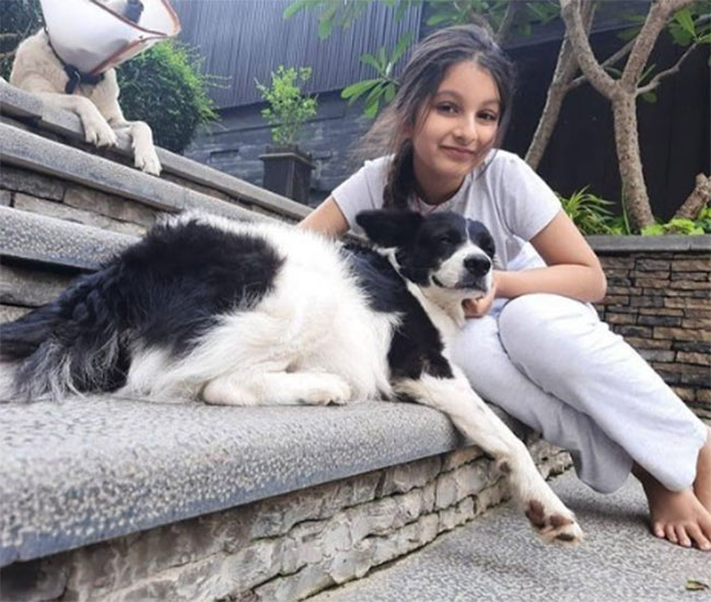 క్యూట్ పెట్స్ మధ్యలో క్యూట్ సితార.. పిక్స్ వైరల్!