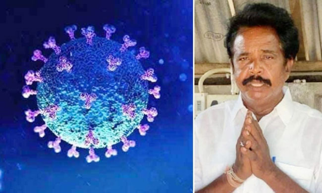 తెలంగాణ యువకుడికి ఆనందయ్య మందు.. వీడియో చూస్తే నోట మాట రాదంతే