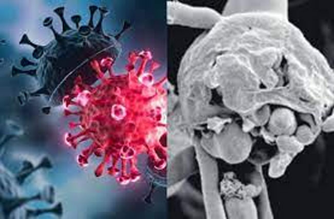 దేశంలో మరో  కొత్త వ్యాధి : నిన్న బ్లాక్ ఫంగస్ .. ఇప్పుడు వైట్ ఫంగస్!