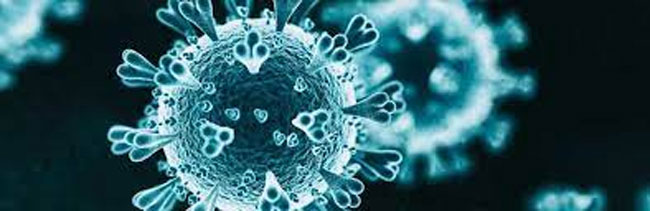 కరోనా నుంచి కోలుకున్నామని నిర్లక్ష్యం చేస్తున్నారా.. అయితే మూల్యం తప్పదు!