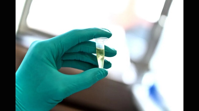 హీరోయిన్లు డ్రగ్స్ తీసుకున్నట్లు వెల్లడించిన FSL నివేదిక..!