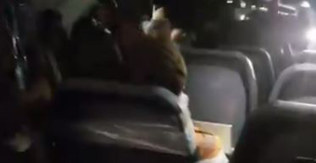 ఫ్లైట్ లో రచ్చ చేస్తున్నోడిని సీటుకు కట్టేసి.. నోటికి ప్లాస్టర్ వేసి కట్టేశారు