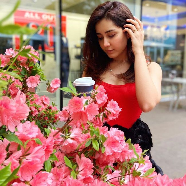 Raashi%20Khanna%20Astonishing%20Looks_6.