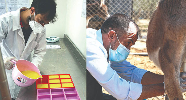 గాడిద పాల సబ్బులు.. అప్పుడు నవ్విన వాళ్లే ఇప్పుడు అభినందిస్తున్నారు