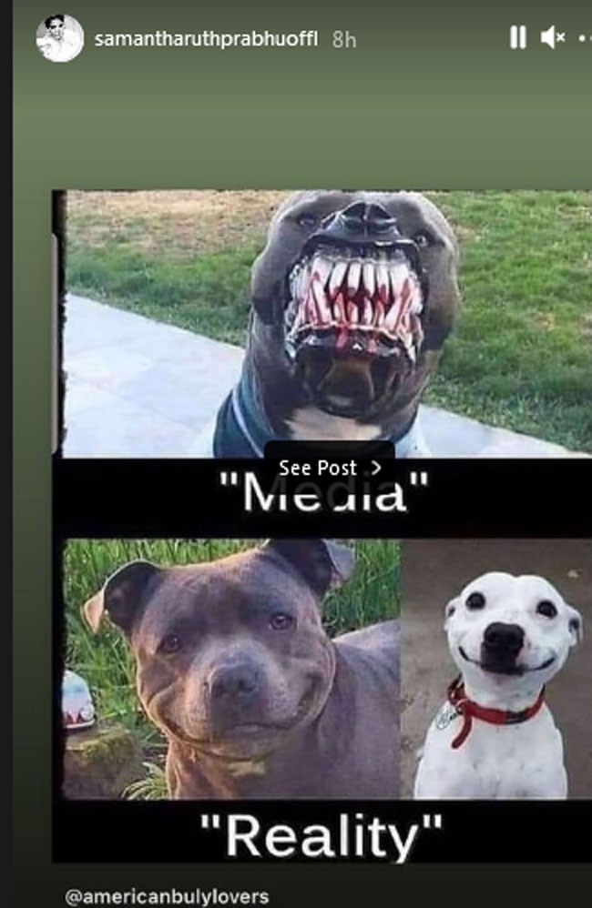 Samantha Takes A Dig At Media With A Hard-hitting Post