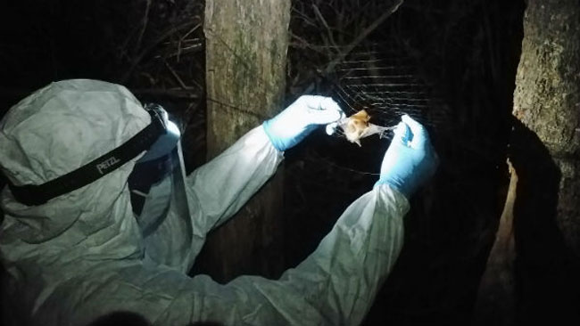 ఎబోలా.. మళ్లీ వ్యాప్తి  చెందుతోంది !