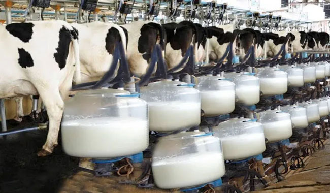 అఫ్గాన్ లో కాదు ఆ దేశంలో ఇప్పుడు లీటరు పాలు రూ.1195