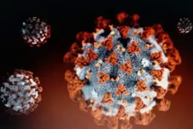 బెంగళూరులో కొత్త రకం కరోనా వేరియంట్ .. !