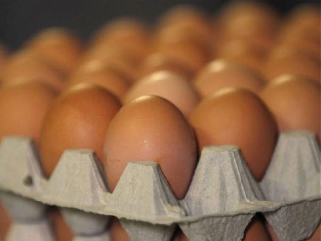 వాళ్ల దగ్గర కోడిగుడ్డును రూ.500 కొంటున్నారు? ప్రత్యేకత ఇదే