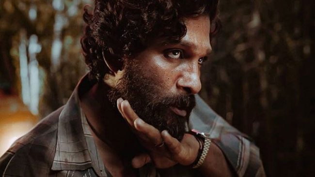 పుష్ప హిందీ వెర్స‌న్ 13రోజుల్లో 45కోట్లు