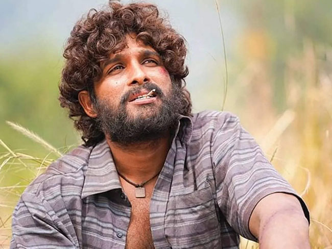 83కి పోటీగా! `పుష్ప` హిందీ వెర్ష‌న్ 50కోట్ల క్ల‌బ్ లోకి..!