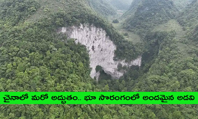 చైనాలో మరో అద్భుతం.. భూ సొరంగంలో అందమైన అడవి
