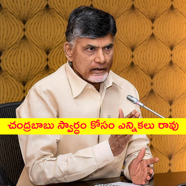 చంద్రబాబు స్వార్ధం కోసం ఎన్నికలు రావు