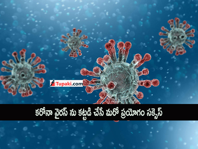 కరోనా వైరస్ ను కట్టడి చేసే మరో ప్రయోగం సక్సెస్