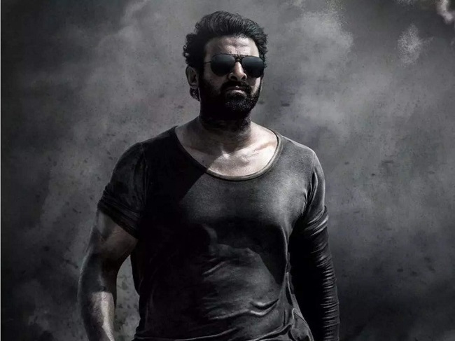 విక్రమ్ ను మించిపోయే సలార్ ట్విస్ట్?