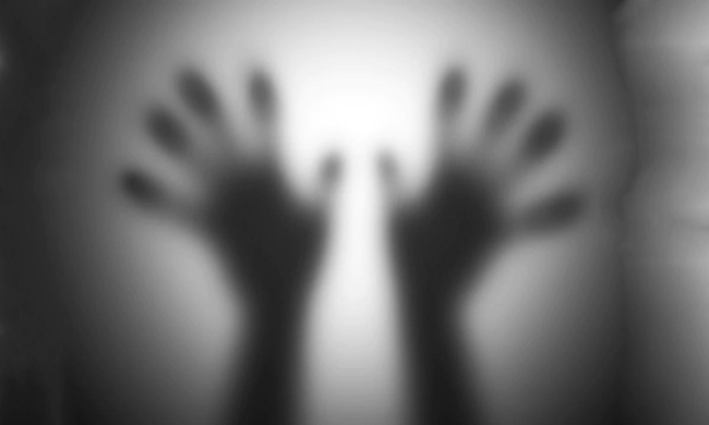 Delhi Reports, Shraddha Walker Type Case, Body Found In Freezer?
